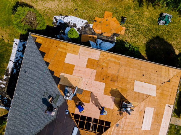 Best Storm Damage Roof Repair  in Fruitland, NC